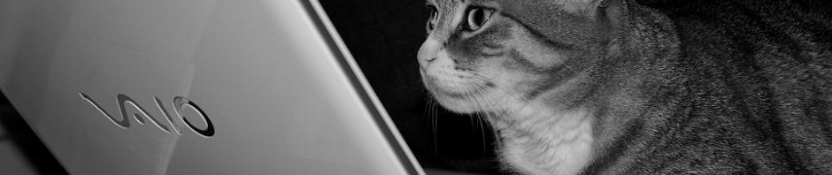 Cat on Sony Vaio laptop greyscale